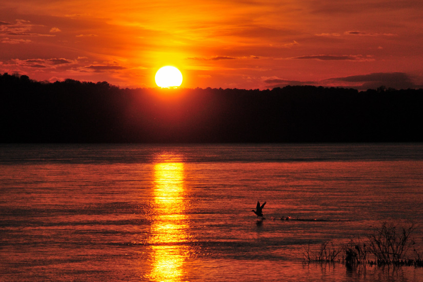 19-La passée du soir