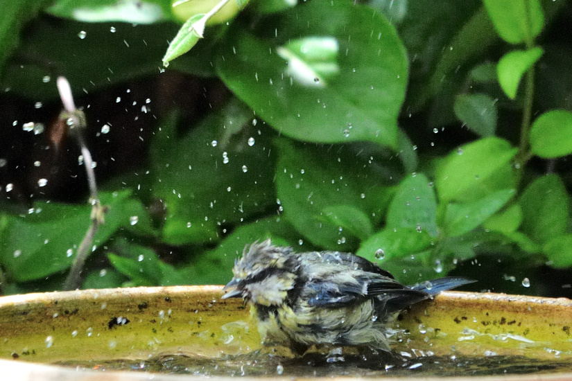 6-Brrrr ! un peu froide