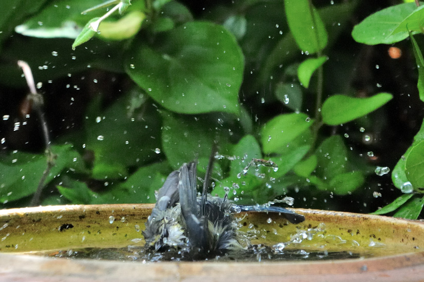 9-Je mets la tête !