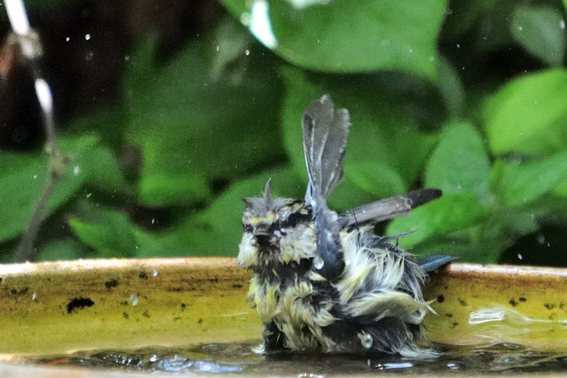 13-Grand désordre !